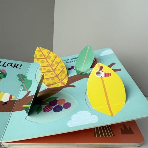 Children's Cardboard Flap Books